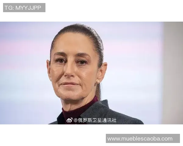 墨西哥总统强调打击贩毒不影响世界杯安全保障